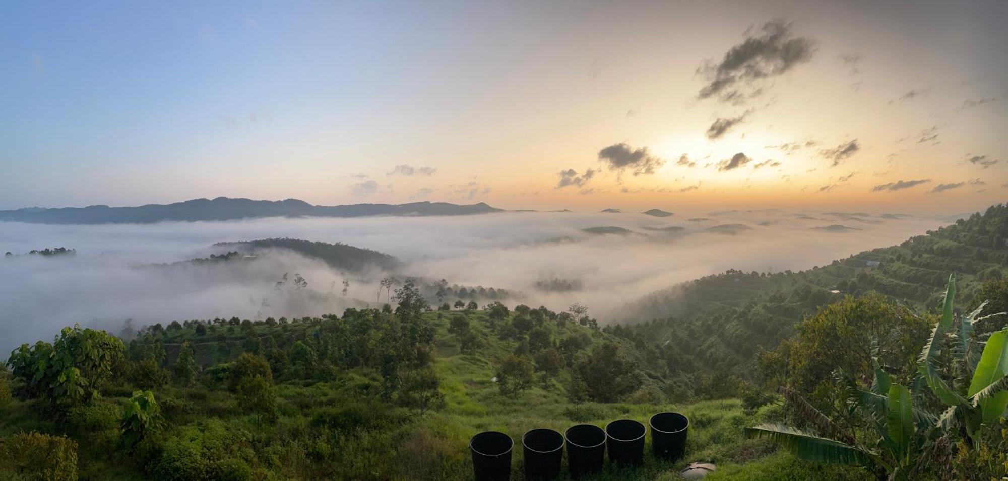 Lilla Summer Retreat - Bentong Luaran gambar